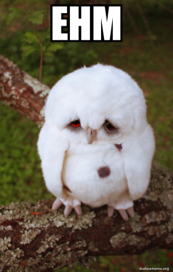 Sad Owl