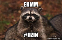 Evil Plotting Raccoon