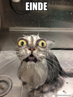 Cat bath