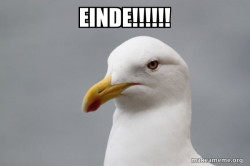 Stuff That Didn't Happen Seagull