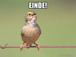 Common Opinion Sparrow