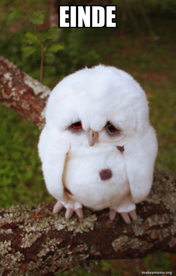 Sad Owl