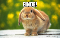 Regretful Rabbit
