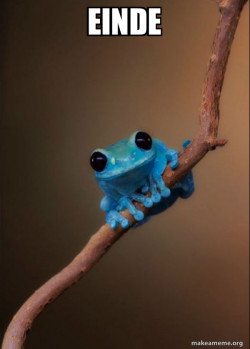 Small Fact Frog