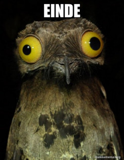 Weird Stuff I do Potoo