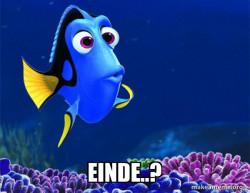Dory from Nemo  (5 second memory)