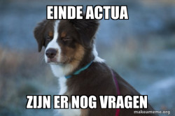 Unsure Dog