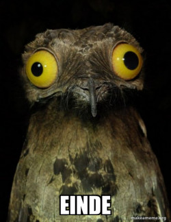 Weird Stuff I do Potoo