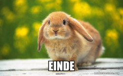 Regretful Rabbit