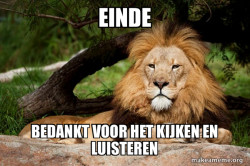 Contemplative Lion