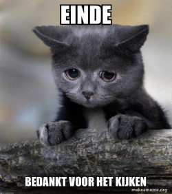 Confession Cat