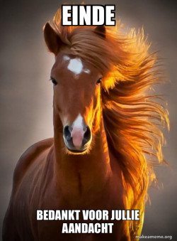 Ridiculously photogenic horse
