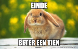 Regretful Rabbit