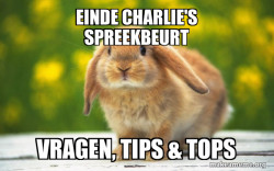 Regretful Rabbit