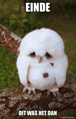 Sad Owl
