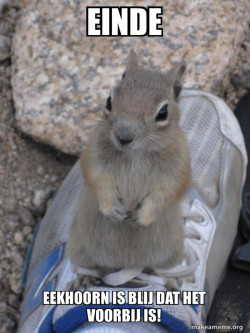 Standover Squirrel