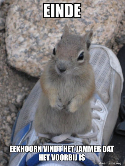 Standover Squirrel