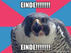 Unpopular Opinion Puffin