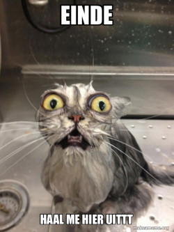 Cat bath