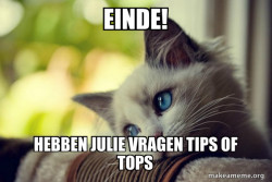 First World Cat Problems