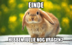 Regretful Rabbit