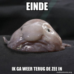 Blobfish
