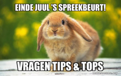 Regretful Rabbit