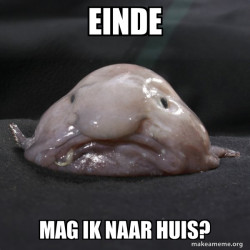 Blobfish