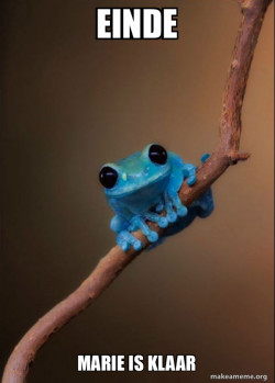 Small Fact Frog