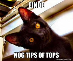 Overly Attached Cat