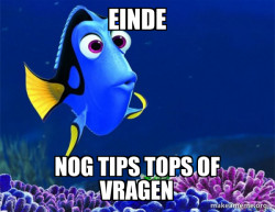 Dory from Nemo  (5 second memory)