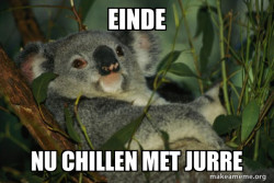 Laid Back Koala