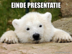 Popular Opinion Bear