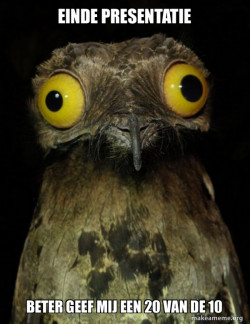 Weird Stuff I do Potoo