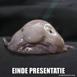 Blobfish