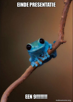 Small Fact Frog
