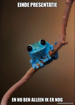 Small Fact Frog