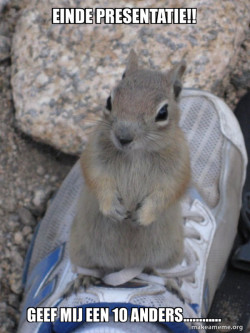 Standover Squirrel