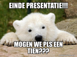 Popular Opinion Bear