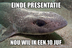 presentatie