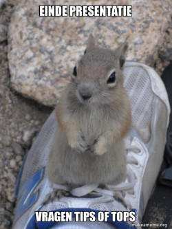 Standover Squirrel