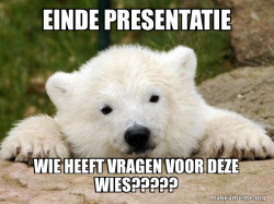 Popular Opinion Bear