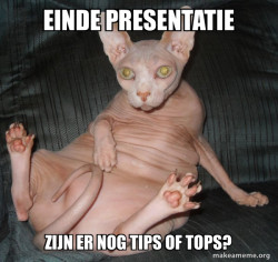 Hairless Cat