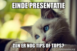 First World Cat Problems