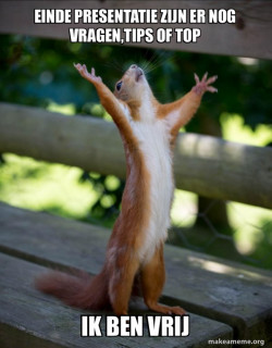 Happy Squirrel