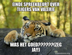 Confession Tiger