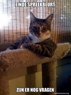 The Most Interesting Cat in the World