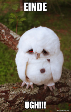 Sad Owl