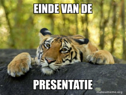 Confession Tiger