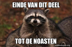 Evil Plotting Raccoon